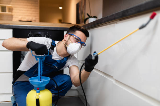 Best Best Pest Control Companies  in Ripon, CA