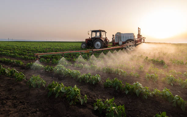 Insect Control in Ripon, CA