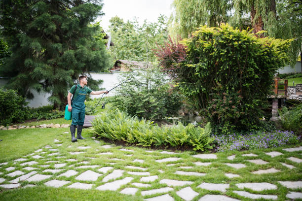 Best Ant Control Services  in Ripon, CA
