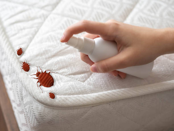 Professional Pest Control in Ripon, CA
