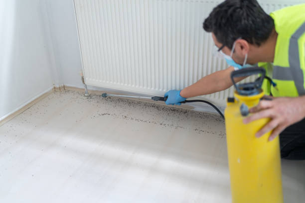 Best Emergency Pest Control  in Ripon, CA